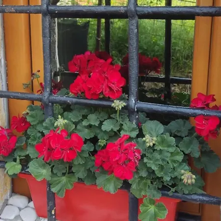 Apartment Toplik 10 Sarajevo